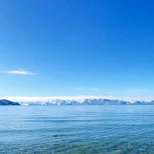 Meet your Posher, Drew